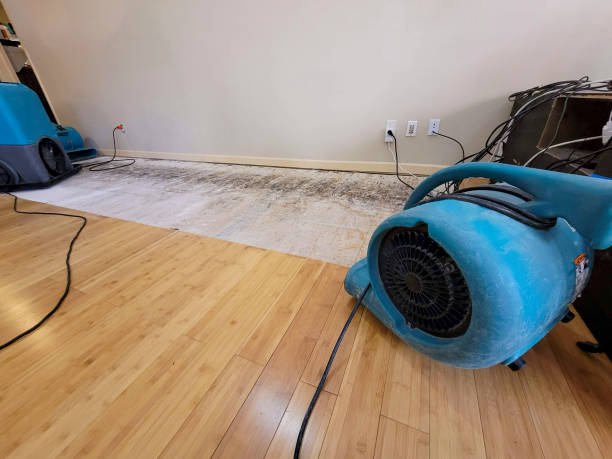 Professional Flood Damage Cleanup technician working in Viborg, SD